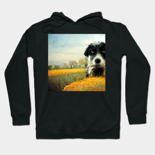 Dog portrait as he looks unhappy about something. Hoodie